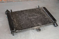 Yamaha FZR600 radiator