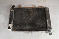 Honda PC800 radiator